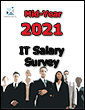 2010 IT Salary Survey